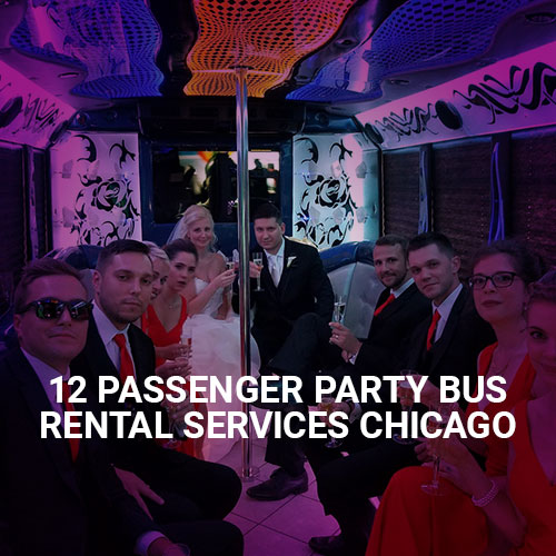 12 passenger Party Bus chicago