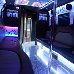 Chicago party bus rent