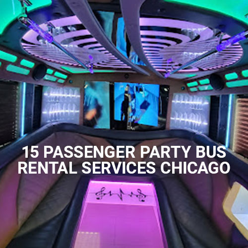 15 passenger party bus rental Chicago