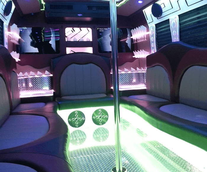 Limoinfinity Chicago Party Bus